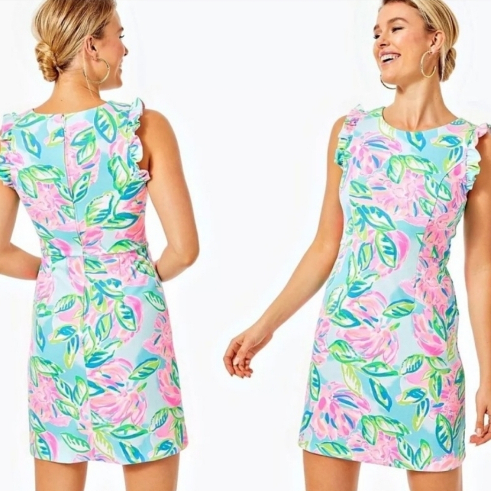 NWT Lilly Pulitzer Carmelisa shift dress, size 2